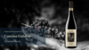 Barolo