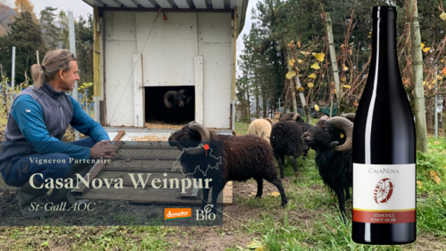 Seemühle Pinot Noir