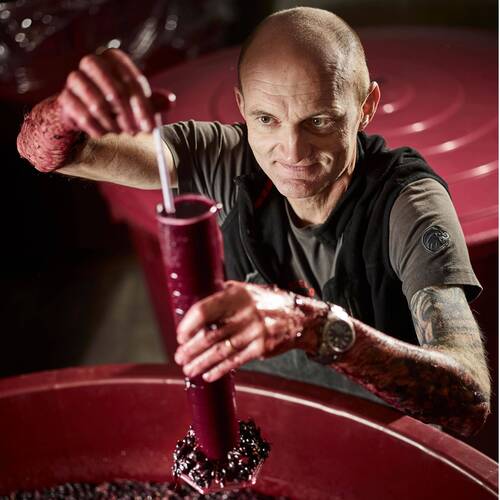 Portrait du producteur de vins valaisan Thierry Constantin, fournisseur de Vogel Vins