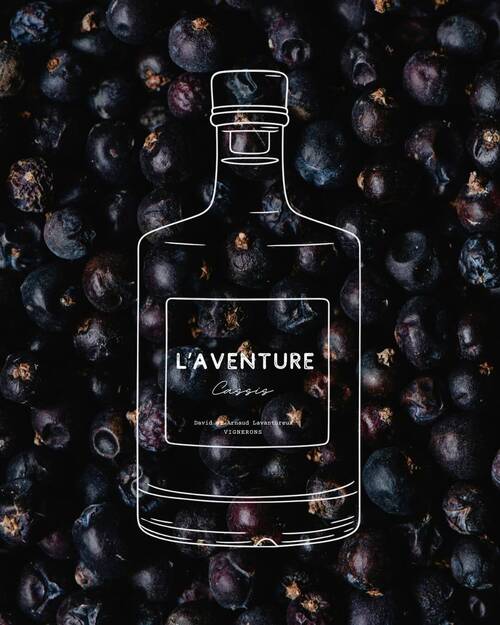 L'Aventure Cassis